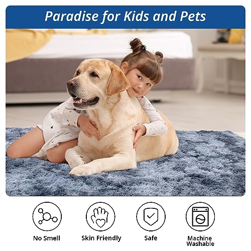 BALAPET Modern Plush Tie Dye Faux Fur Rug