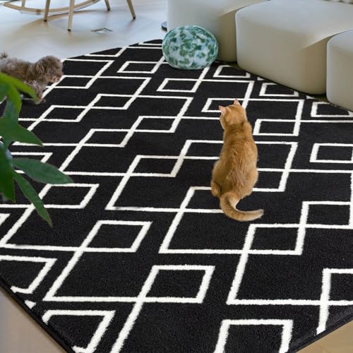 Geometric Modern Area Rug, Black, 6x9 Feet - Indoor/Outdoor