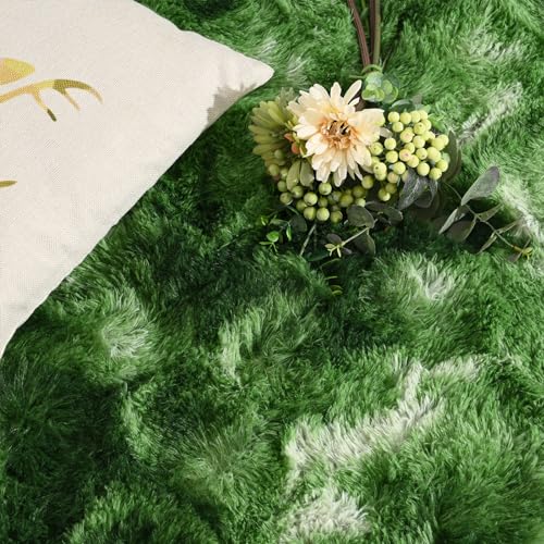 Dark Green Fluffy 4x6 ft Modern Area Rug