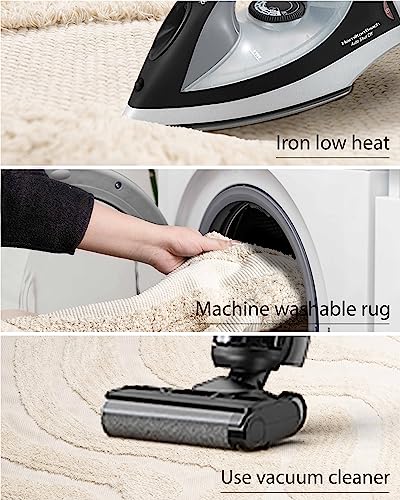 Boho Farmhouse Tassel Area Rug 3'x5' Cream Beige