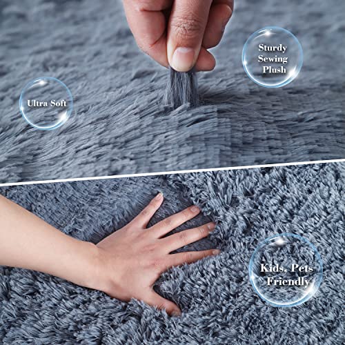 Blue Shaggy Area Rug for Bedroom and Living Room