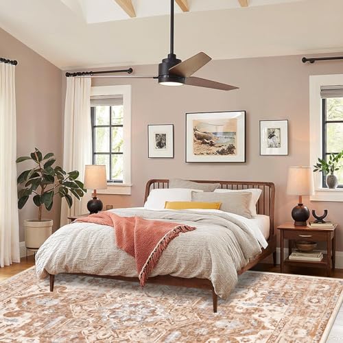 Boho Area Rug 6x9, Vintage Soft Throw Rug