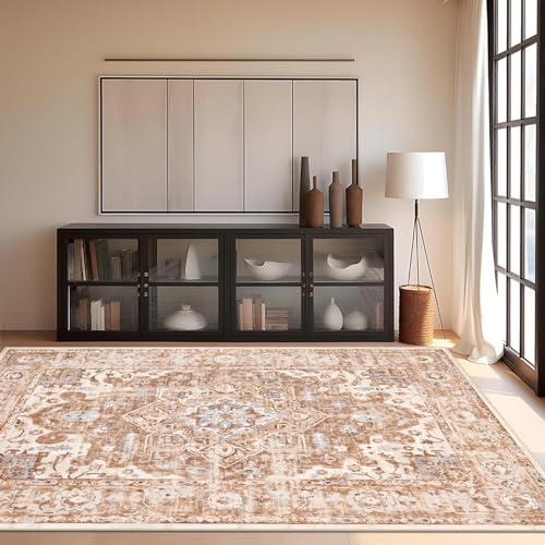 Boho Area Rug 6x9, Vintage Soft Throw Rug