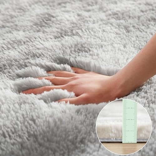 Modern Shag Rug for Bedroom and Living Room, Grey
