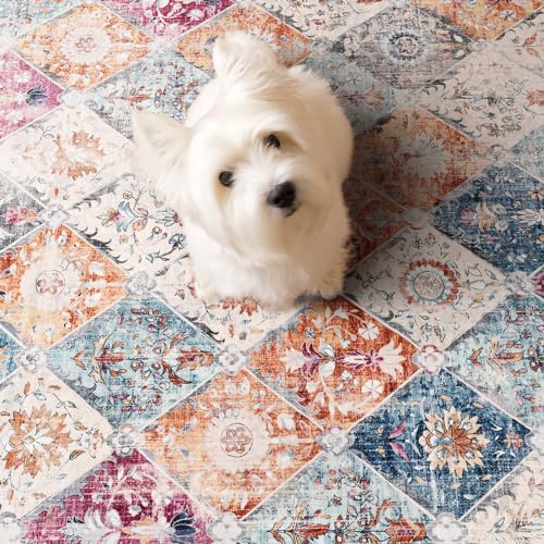 Moroccan Farmhouse Area Rug for Living Room Décor