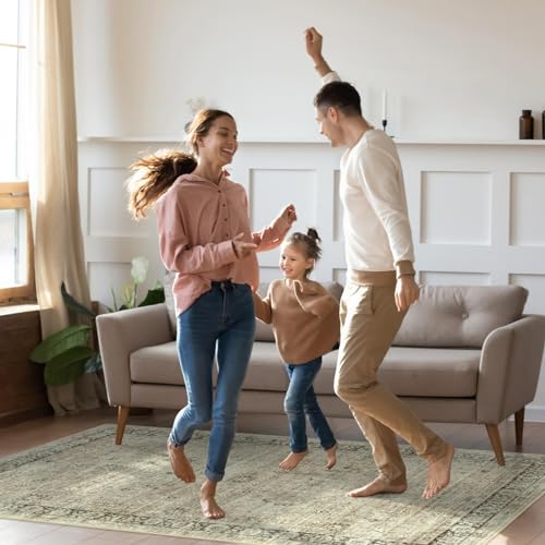 Vintage Distressed Oriental Area Rug for Living Room