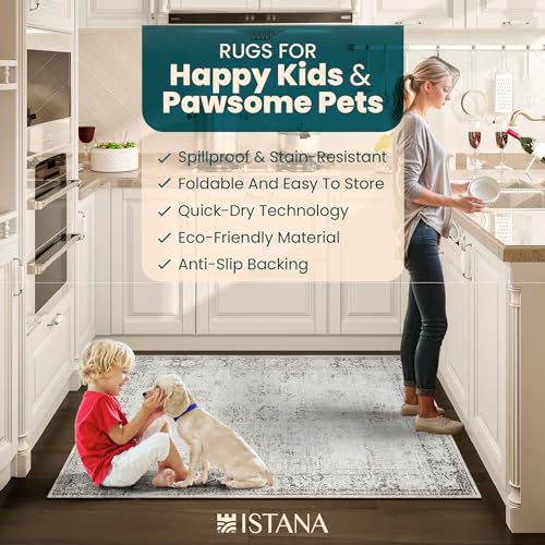 Istana Grey 3x5 Area Rug - Kid & Pet Friendly