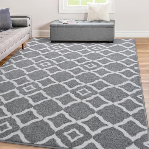 Kimicole Ultra Soft Shag Area Rug, 4x6 Grey/White