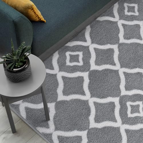 Kimicole Ultra Soft Shag Area Rug, 4x6 Grey/White