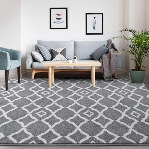 Kimicole Ultra Soft Shag Area Rug, 4x6 Grey/White