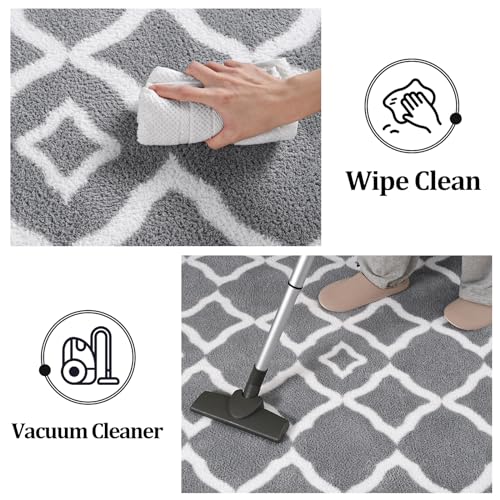 Kimicole Ultra Soft Shag Area Rug, 4x6 Grey/White