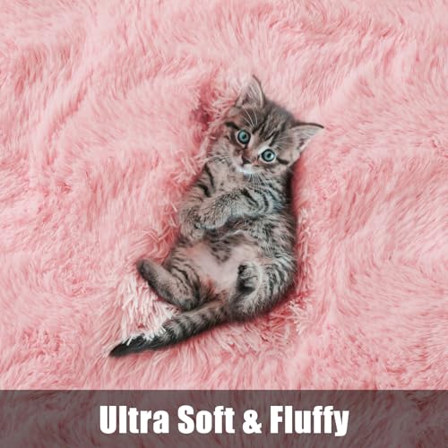 Light Pink Shag Rug for Girls Bedroom, 3x5