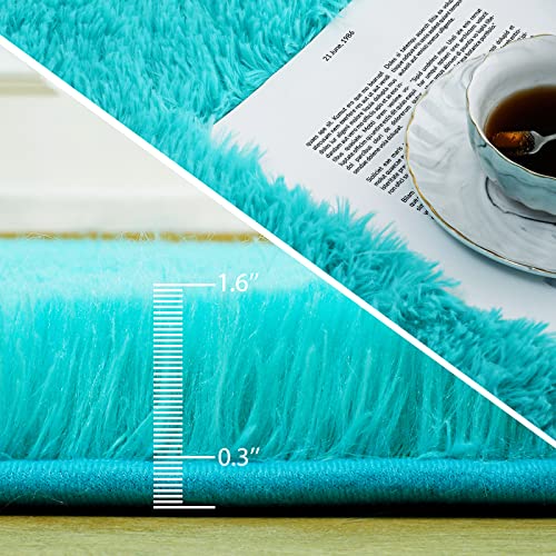Fuzzy Teal Blue Rugs for Bedroom and Living Room