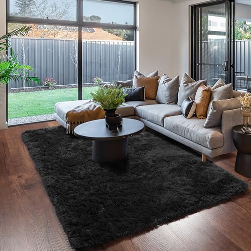 Black Area Rug for Bedroom, Living Room, Kids