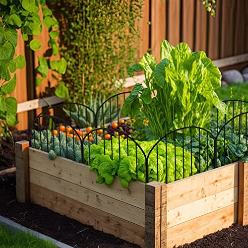 Decorative Metal Garden Fence for Lawn and Flower Bed