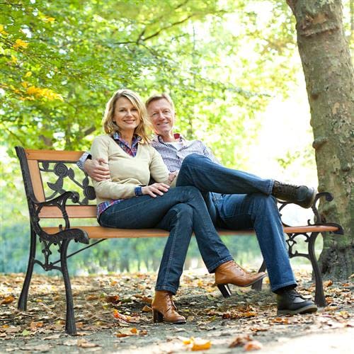 Outvita 49.5in Garden Bench, Deck Hardwood Seat and Metal Armrest Park Bench for Patio Front Porch Path Yard Lawn Poolside (Rose)