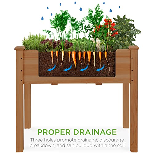 Elevated Wood Planter Box Stand for Kids & Adults