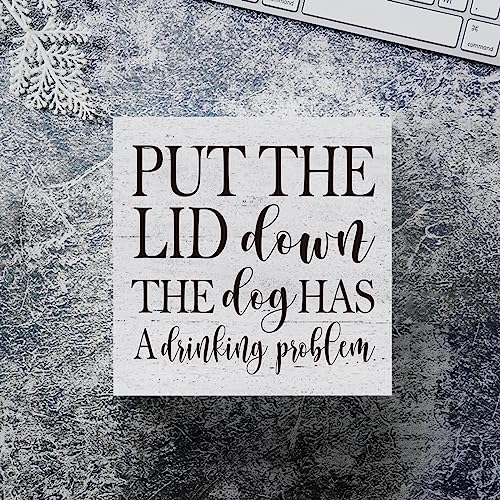 Put the Lid Down" Funny Bathroom Wood Box Sign