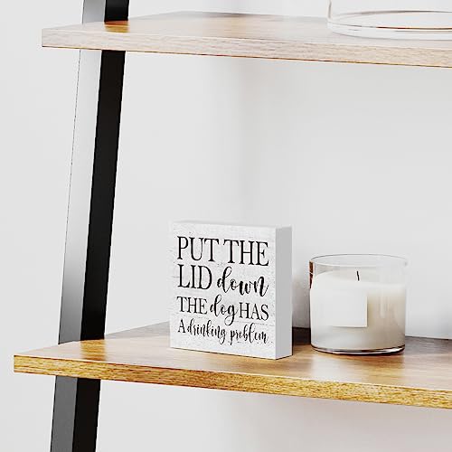 Put the Lid Down" Funny Bathroom Wood Box Sign