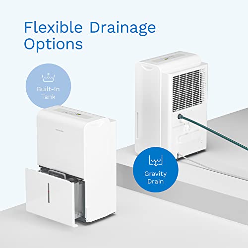 hOmeLabs Energy Star Dehumidifier - Ideal for Medium-Large Spaces