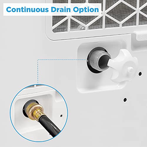 Energy Star Certified Dehumidifier 22 Pint Ideal for Rooms