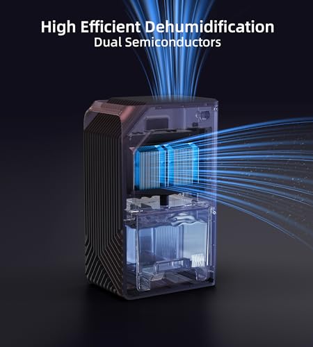 Portable Dehumidifier with LED Lights, Auto Shut Off