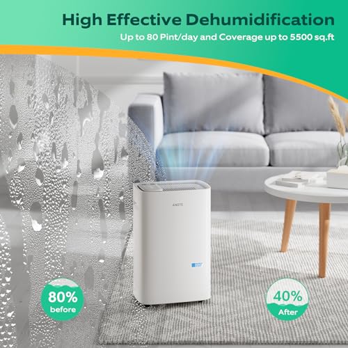 Energy Star Dehumidifier for Large Rooms & Basements
