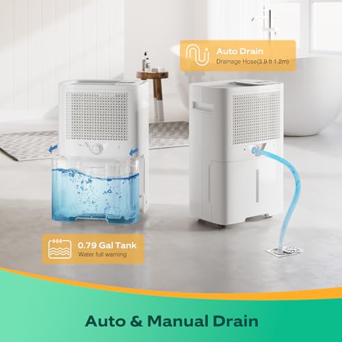 Energy Star Dehumidifier for Large Rooms & Basements
