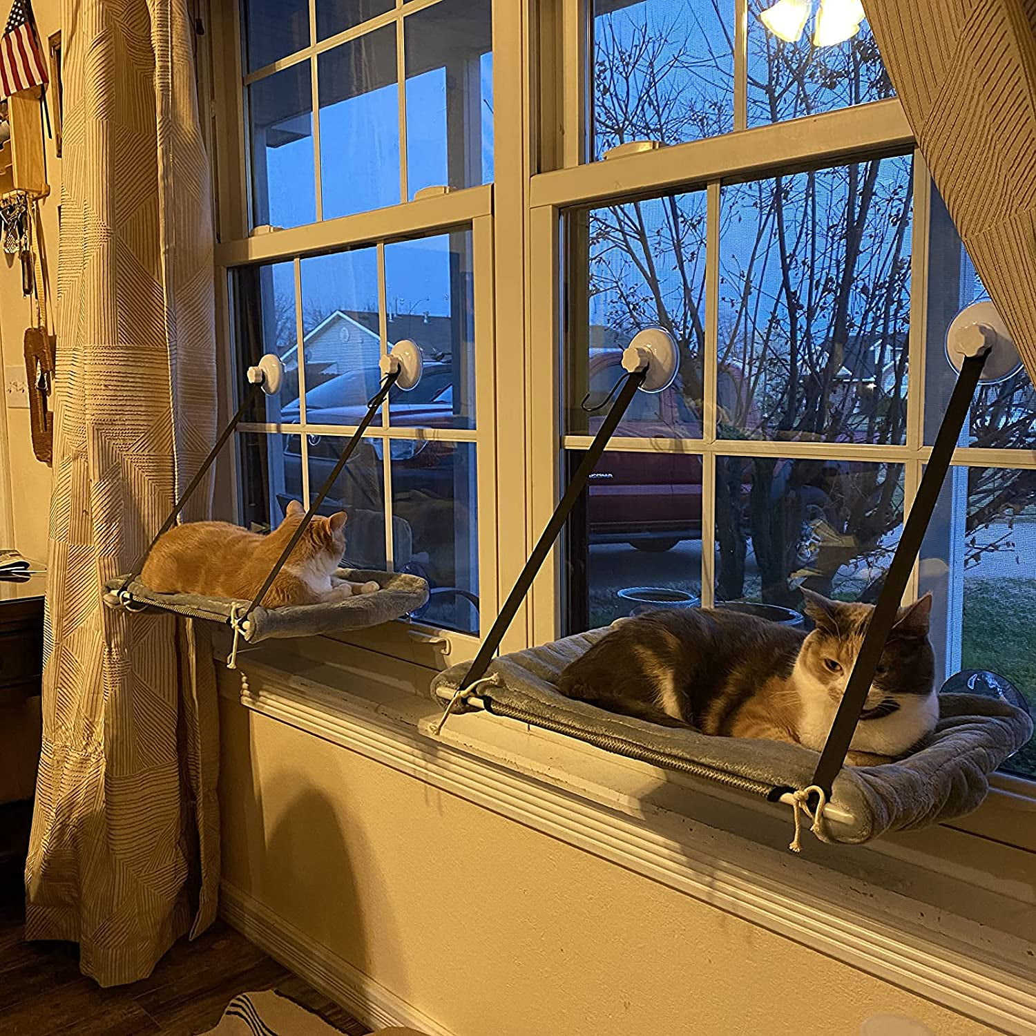 Large Cat Window Hammock Perch Seat