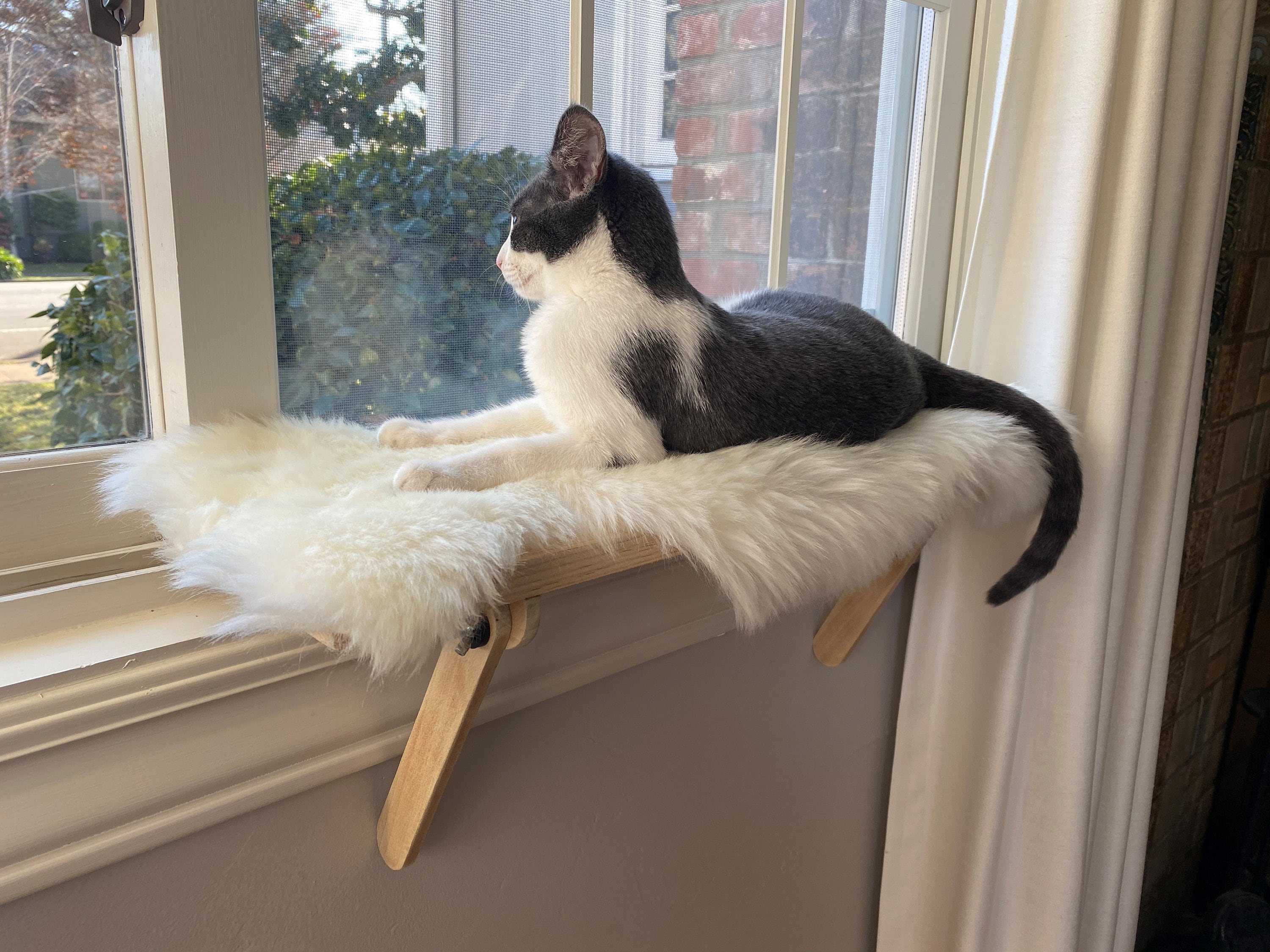 Easy Install Cat Window Perch