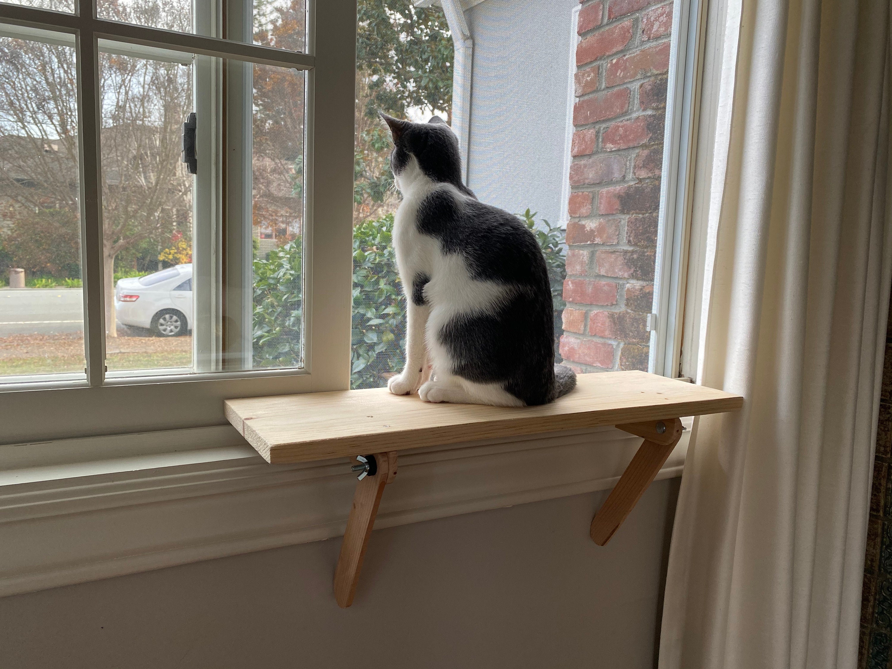 Easy Install Cat Window Perch