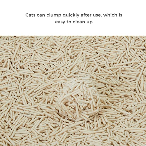 Tofu Cat Litter - Natural & Clumping (6LB)