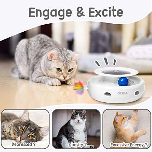 Interactive 2in1 Cat Toy with Timer and Feathers
