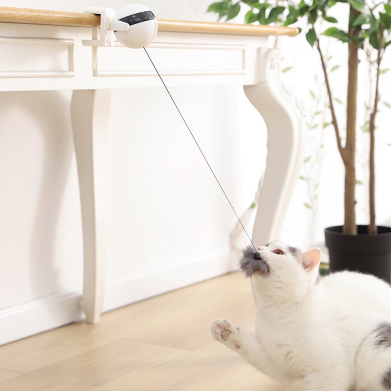 Self-Rotating Interactive Cat Laser Toy