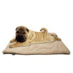 Reversible Waterproof Pet Bed for Cats & Dogs