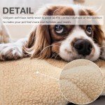 Reversible Waterproof Pet Bed for Cats & Dogs