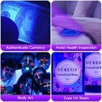 Vansky UV Flashlight: Pet Urine and Stain Detector