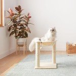 Cozy Cat Tower with Hammock and Scratching Posts