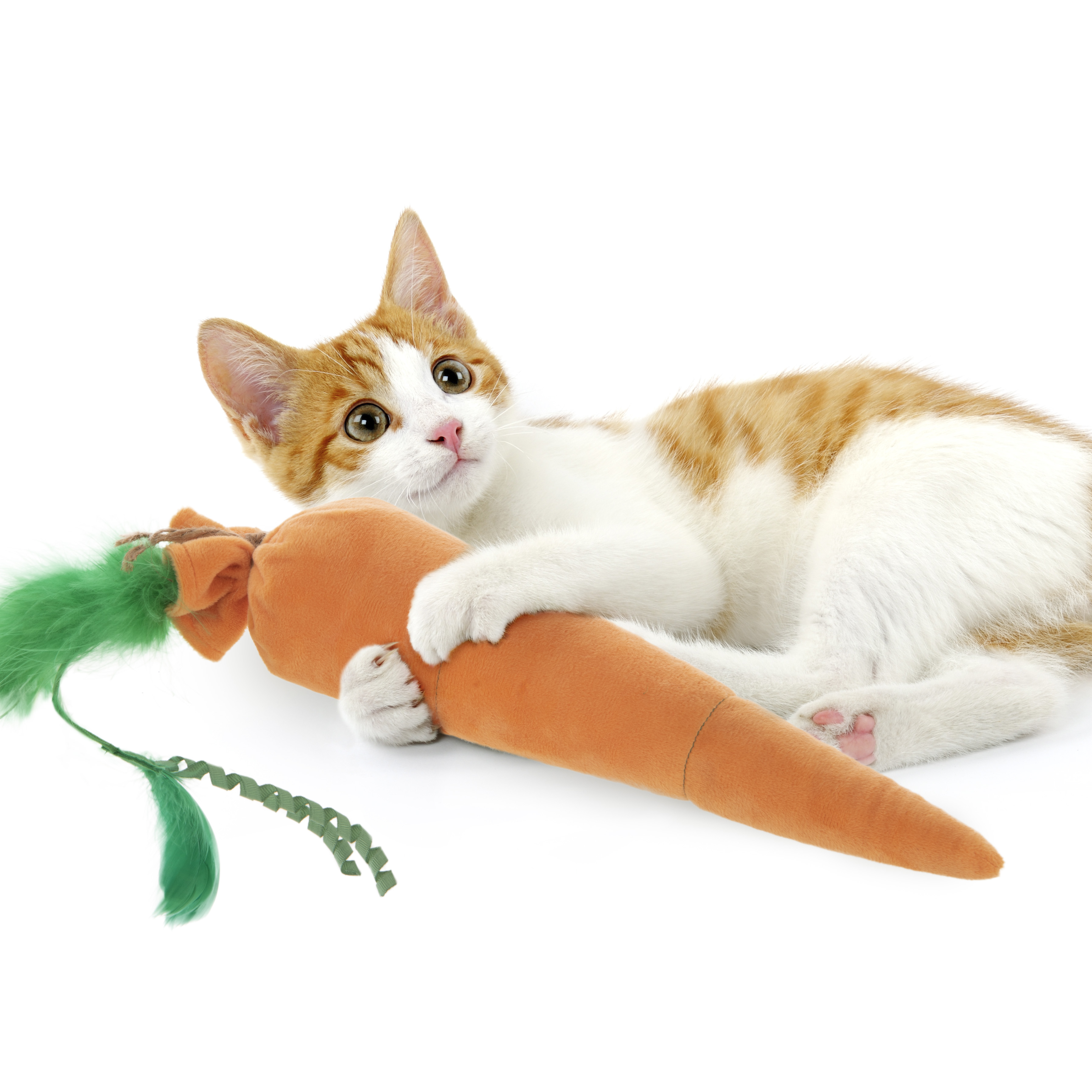 Large Plush Carrot Cat Toy with Catnip
