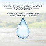 Blue Buffalo Gourmet Chicken Wet Cat Food 24-Pack