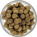 Dave's Natural Easy Digest Cat Food, 30lb