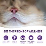 Wellness Complete Health Grain-Free Cat Food Pack