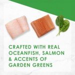 Aurora Pet Gourmet Cat Food Variety Pack