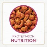 Fancy Feast Filet Mignon Dry Cat Food, 16 OZ