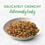 Aurora Pet Gourmet Cat Food Variety Pack