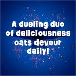 Friskies Tender & Crunch'd Chicken, Beef & Veggies