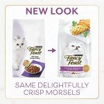 Aurora Pet Gourmet Dry Cat Food & Wipes Pack