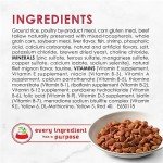 Fancy Feast Filet Mignon Dry Cat Food 12-Pack