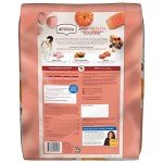 Rachael Ray Nutrish Turkey & Chickpeas Cat Food