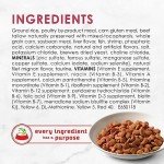 Fancy Feast Filet Mignon Dry Cat Food 12-Pack